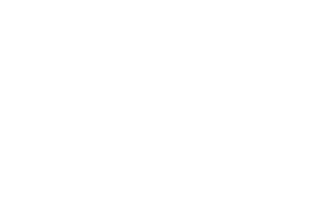Assoc. Dr. Ceki PALTURA