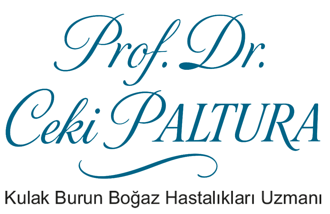 Assoc. Dr. Ceki PALTURA